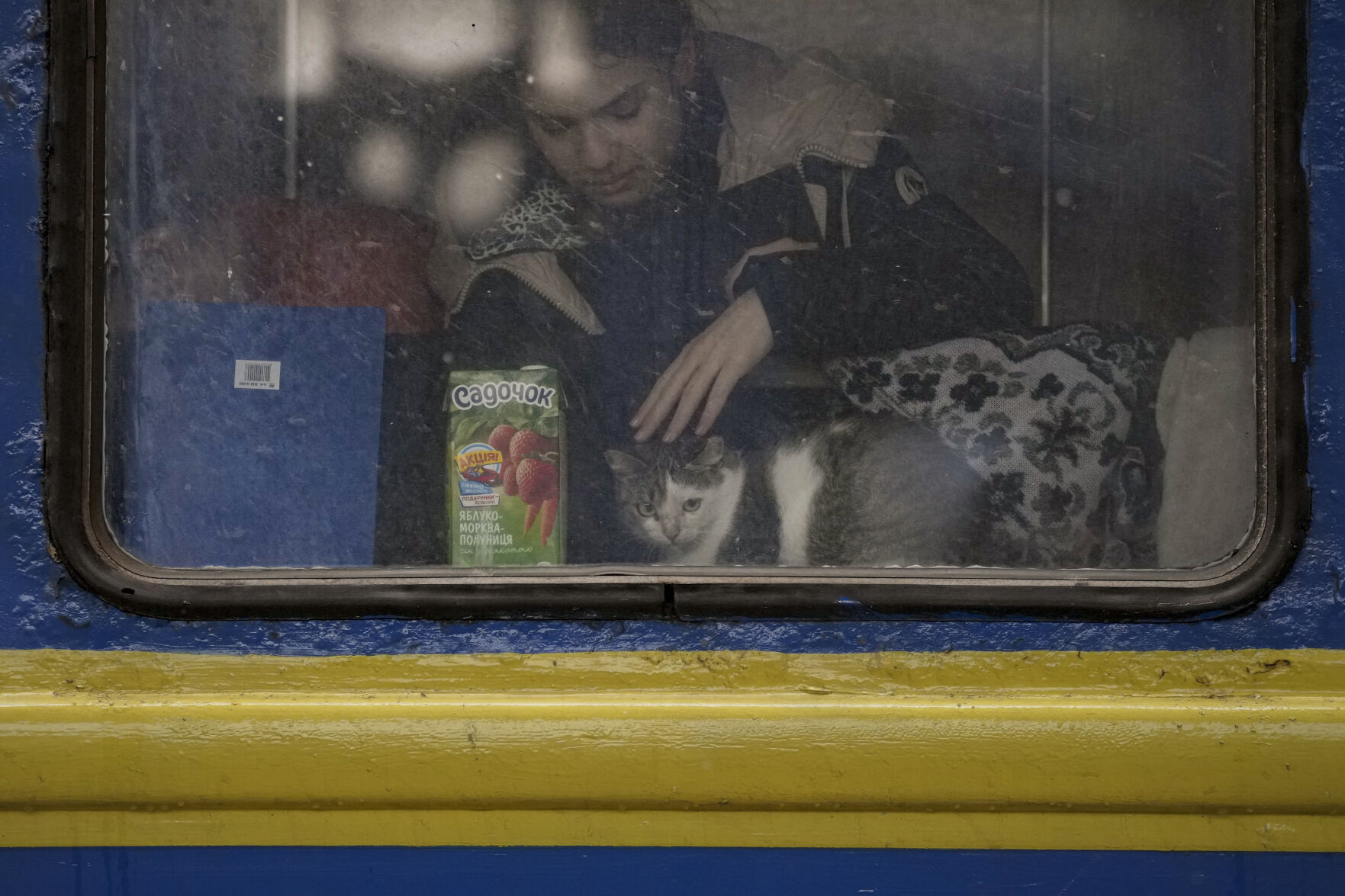 Russia Ukraine War Pets Photo Gallery